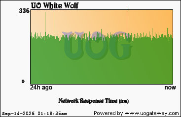 Network Stats